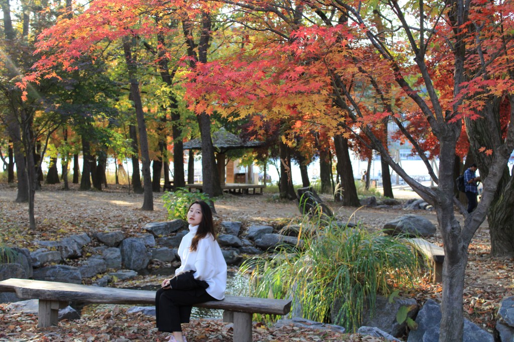 #2 – Đạt Topik 6 sau hơn 1 năm học tiếng Hàn, tất tần tật về những thứ mình đã làm (reposted from Medium,&nbsp;2020)